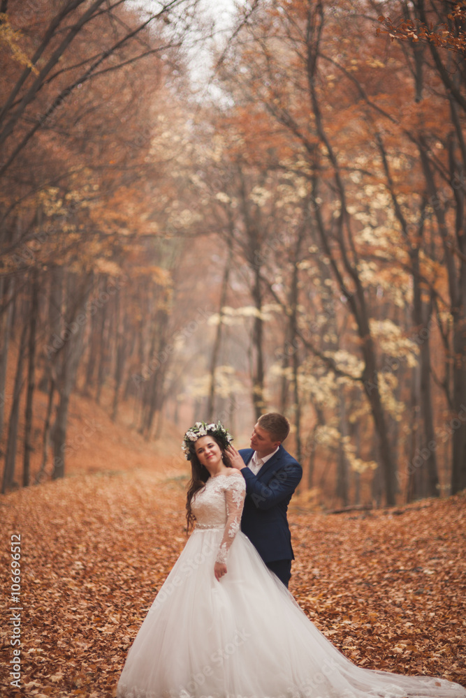 Happy wedding couple, bride and groom walking in the autumn forest, park Happy wedding couple, bride and groom walking in the autumn forest, park