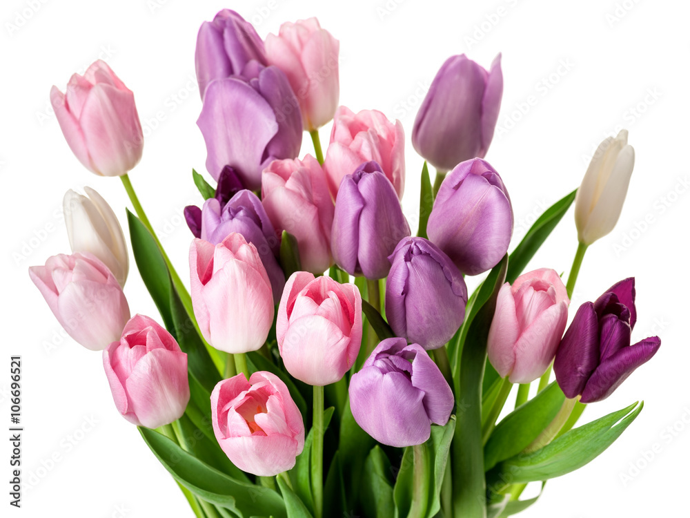 Colorful tulips flowers bouquet Colorful tulips flowers bouquet