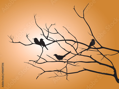 Black shadow bird and tree branch on orange sun light vector design