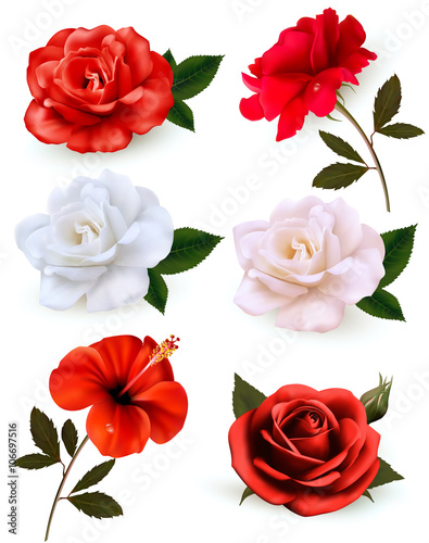 Set of a beautiful flowers isolated on a white background. Vecto
