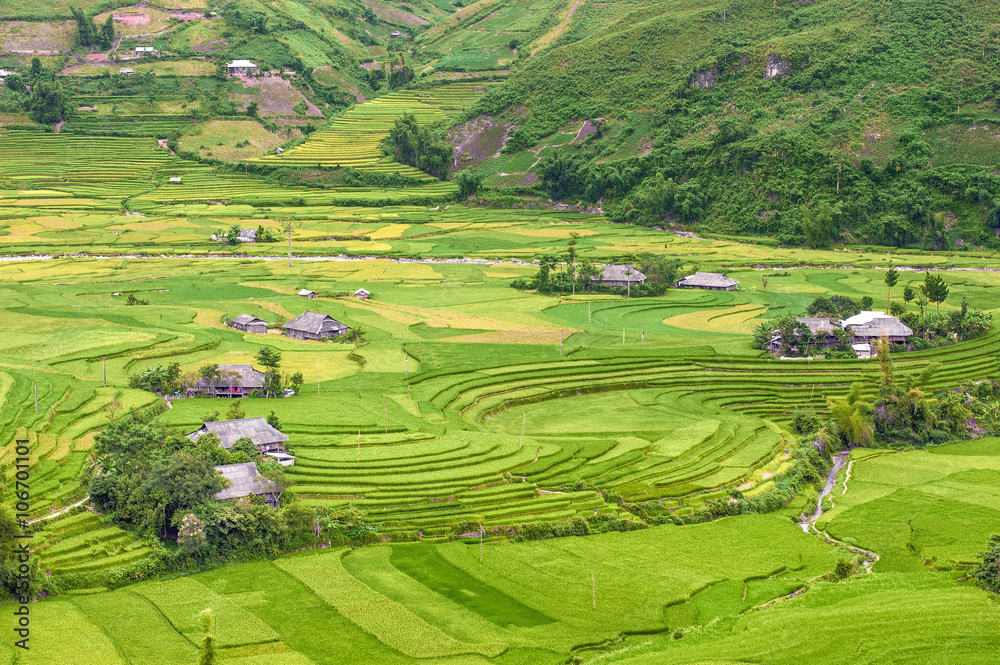 View of  terraced rice paddy from Khau Pha pass in Yen bai province, north Vietnam.