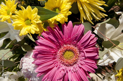 background of flowers and nature, spring concept and joy
