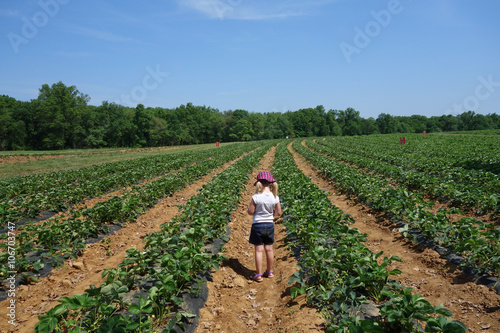 young girl walking through farm field