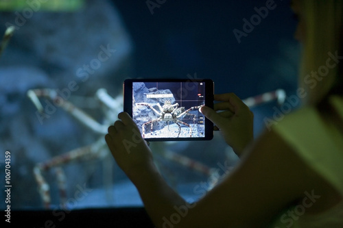 Woman photographing crab with mini tablet in an aquarium photo