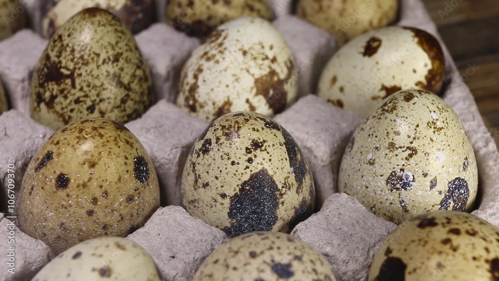 Quail eggs on wooden background. Macro shot. Quail eggs on wooden background. Macro shot.