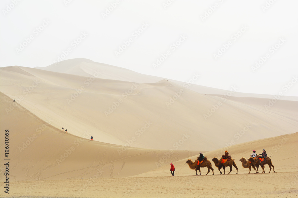 Group of tourists are riding camels in the desert at Mingshashan Dunhuang, China. Group of tourists are riding camels in the desert at Mingshashan Dunhuang, China.