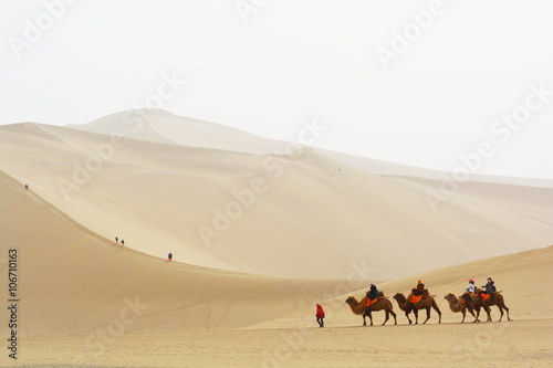Group of tourists are riding camels in the desert at Mingshashan Dunhuang, China. photo