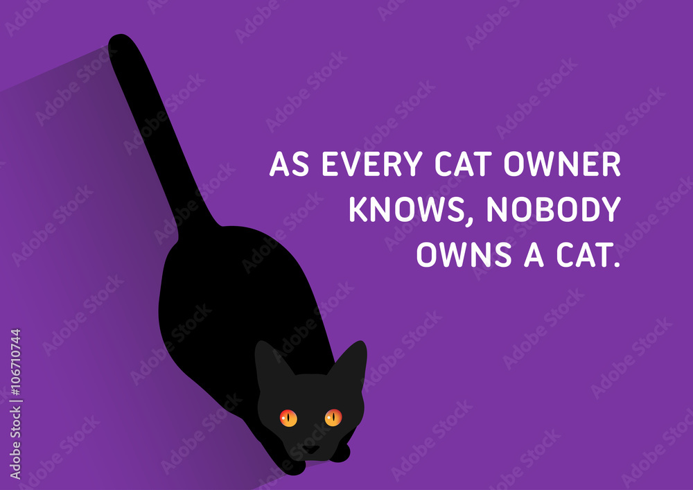 Cats, Illustrated Quote As every cat owner knows, nobody owns a cat
