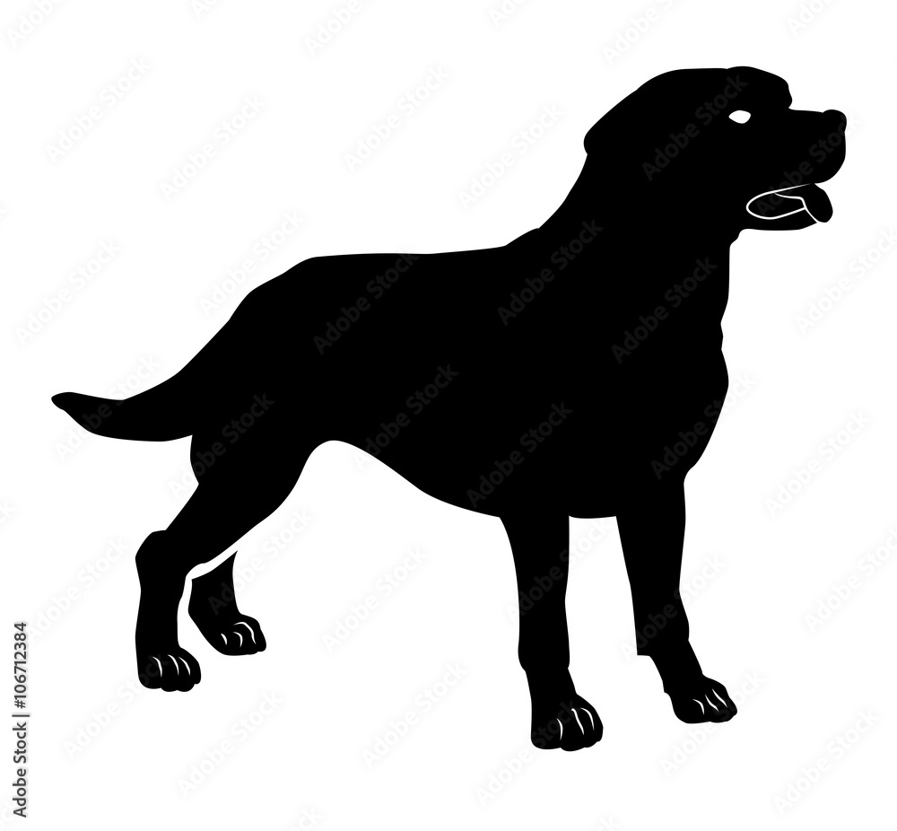 Silhouette noire d'un chien type labrador