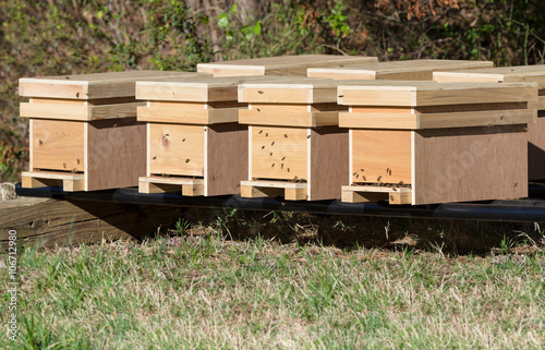 Row of nucleus honey bee hives for sale