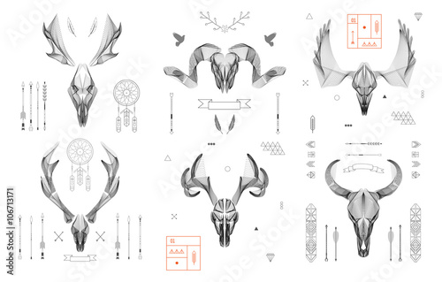  Abstract animal background line art. Skull collection. Antlers.