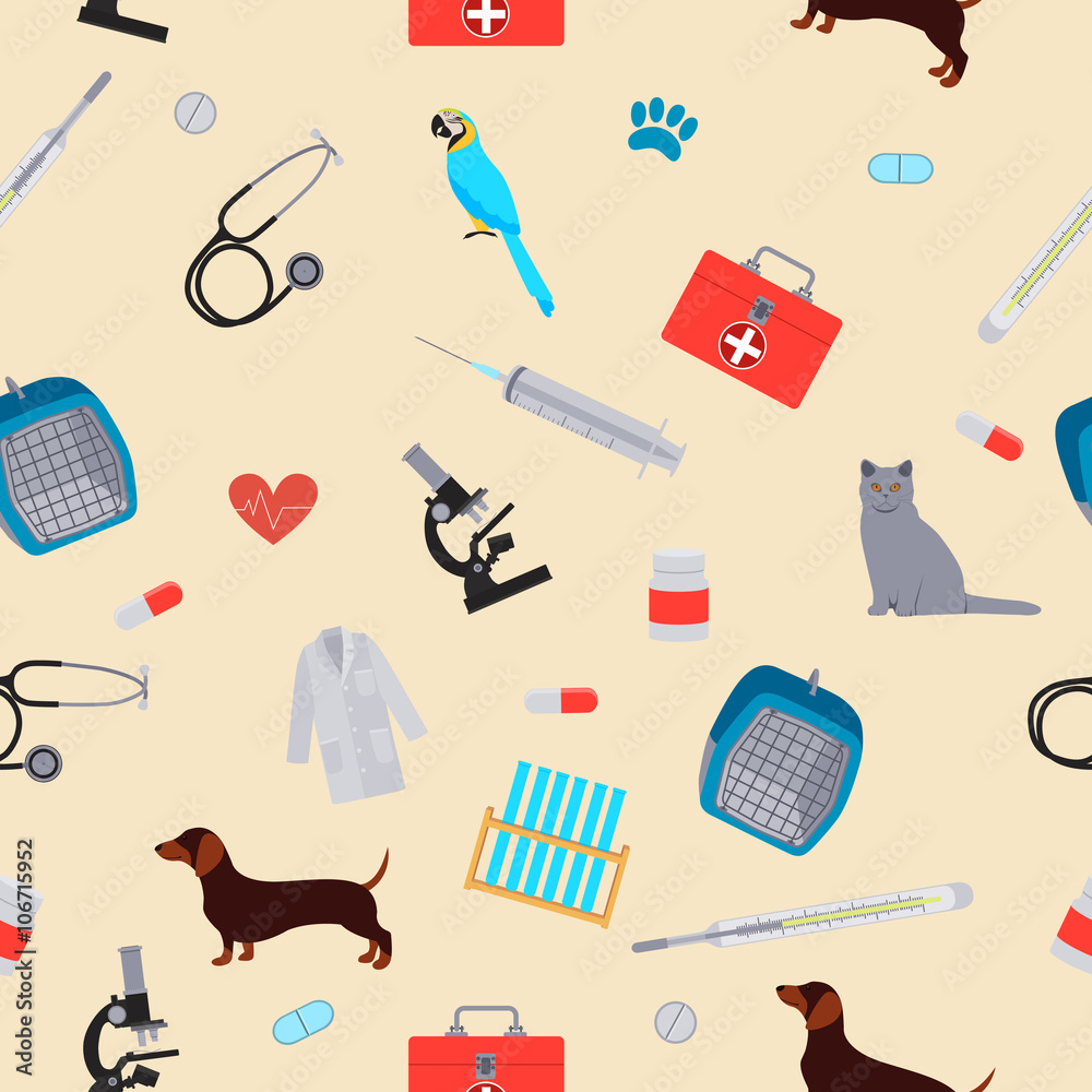 Veterinarian Tools And Equipment