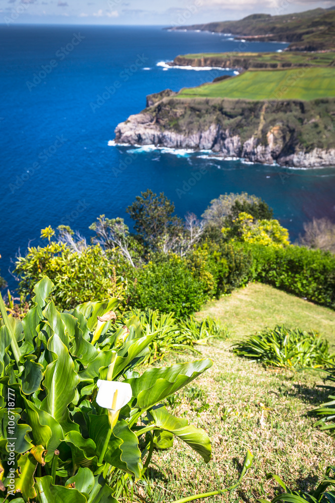 Green island in the Atlantic Ocean, Sao Miguel, Azores, Portugal