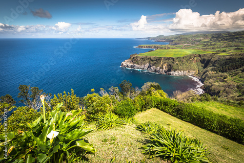 Obraz na płótnie Green island in the Atlantic Ocean, Sao Miguel, Azores, Portugal w salonie