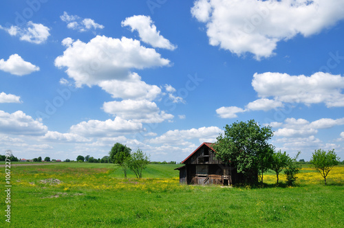 Summer landscape with abandoned farm house