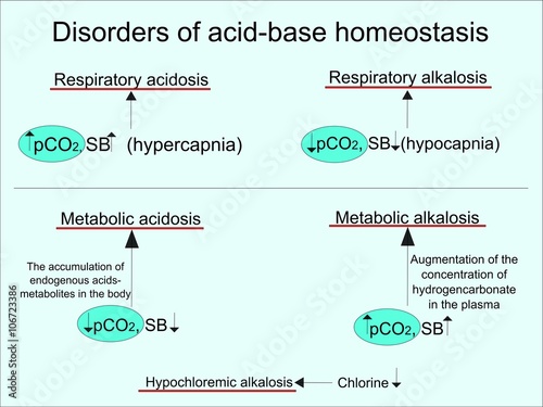 Disorders of acid-base homeostasis photo