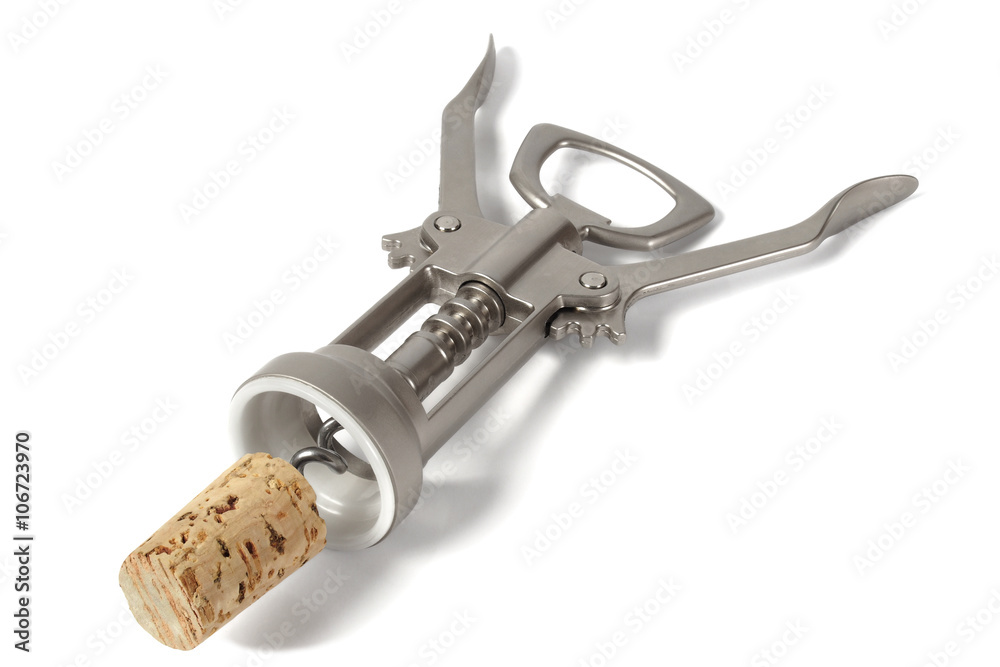 Corkscrew with cork