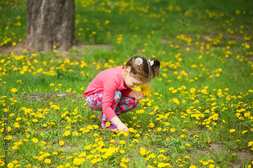 Beauty little girl with yellow dandelions playing outside on spring sunny day. Child sitting in fresh green grass among spring flowers. Small baby girl making bouquet of wild flowers.