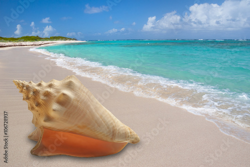 Caribbean island beach with conch seashell in foreground