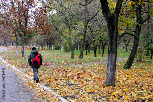 autunno, cadono le foglie,apertura scuole, scolaro, 