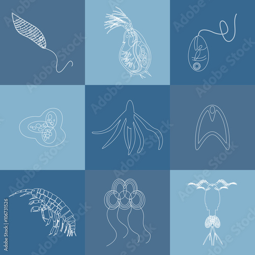 plankton outline icon