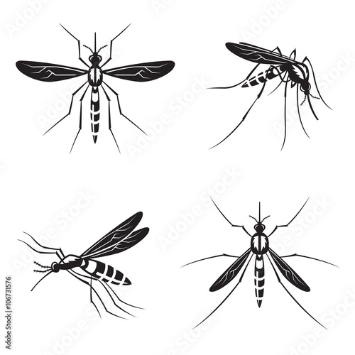 monochrome collection of four mosquito with stinger