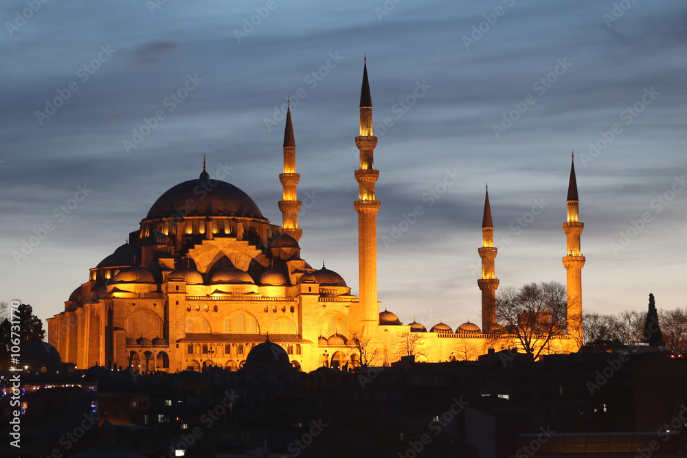 Fototapeta premium Suleymaniye Mosque in Istanbul, Turkey