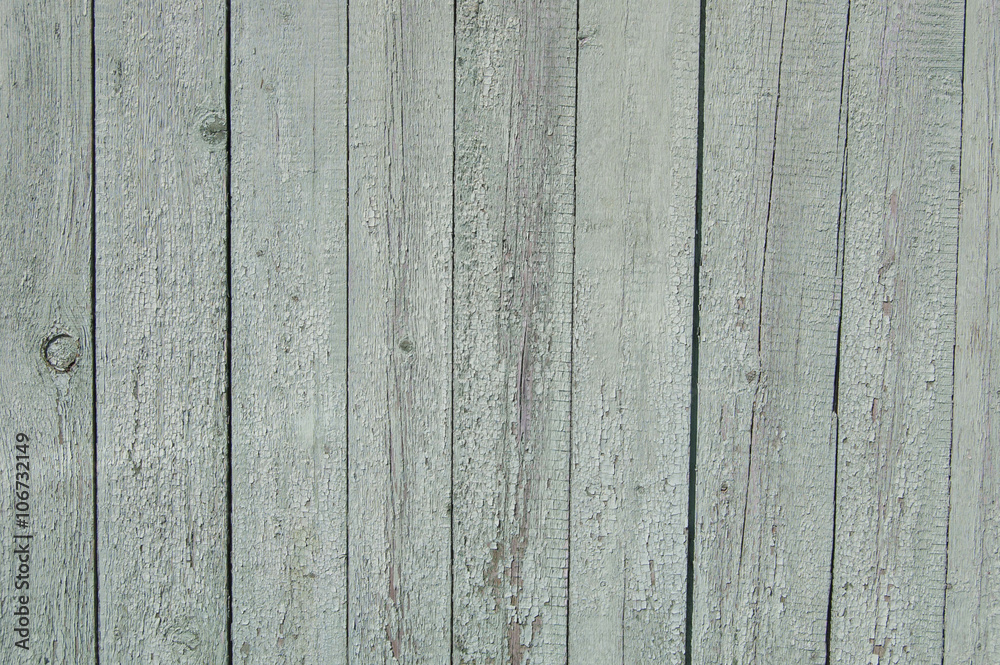 Naklejka premium light green wooden planks, wood background