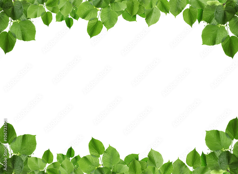 Frame with spring twigs with green leaves, on white background Frame with spring twigs with green leaves, on white background
