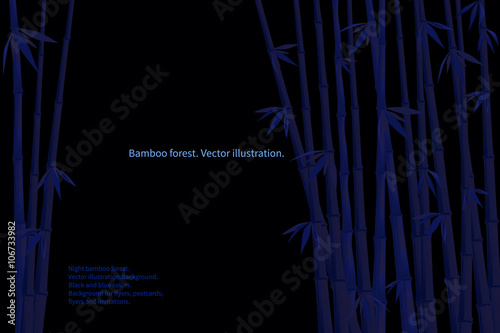 Night bamboo forest