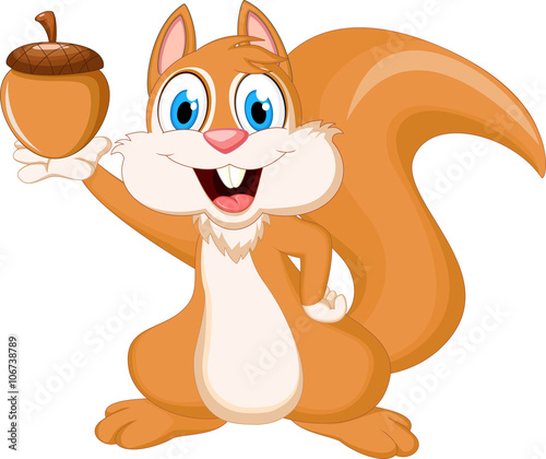 funny squirrel holding nut