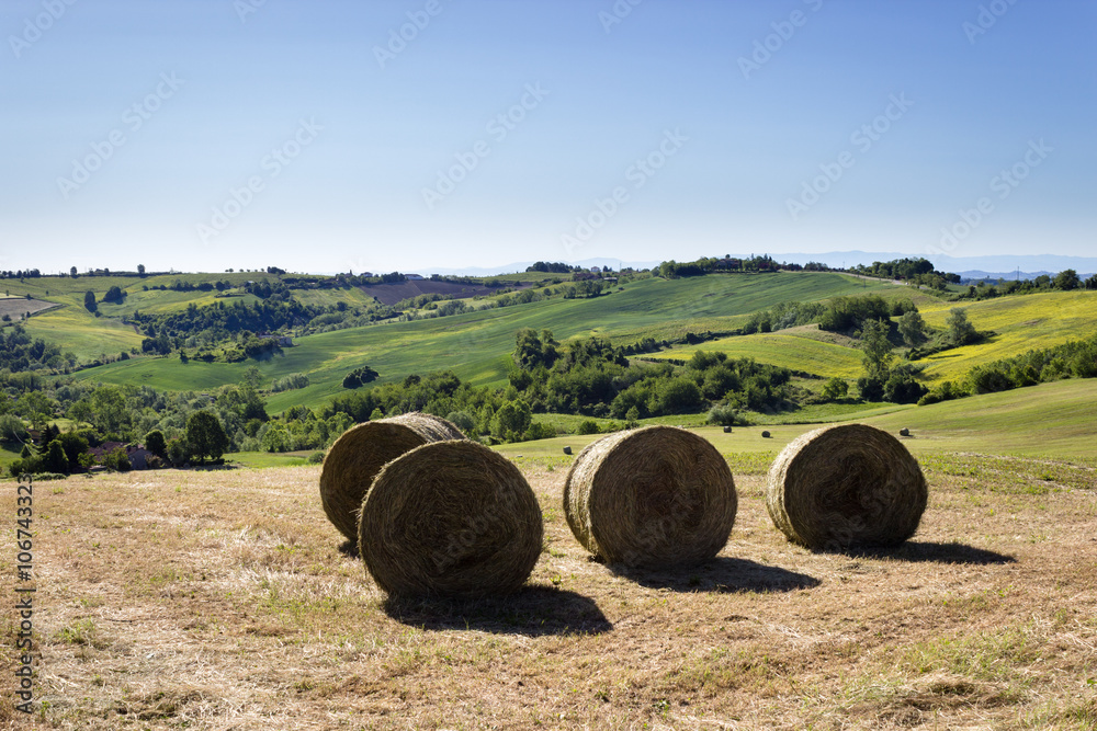 Round hay bales, Monferrato hills, Italy