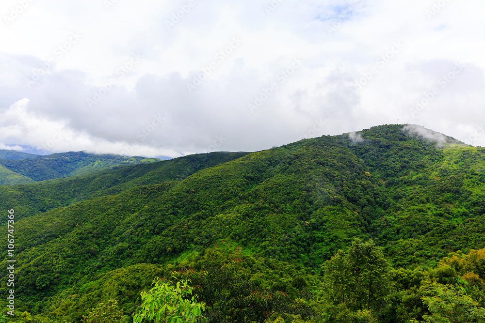 A natural geological wonder of limestone mountain, Laos