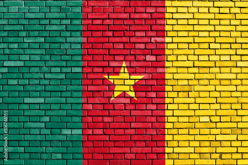 flag of Cameroon painted on brick wall