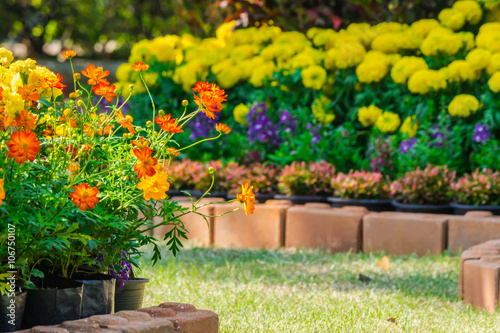 Flowers in the garden on summer.  Landscaped flower garden with lots of colorful blooms on summer.  