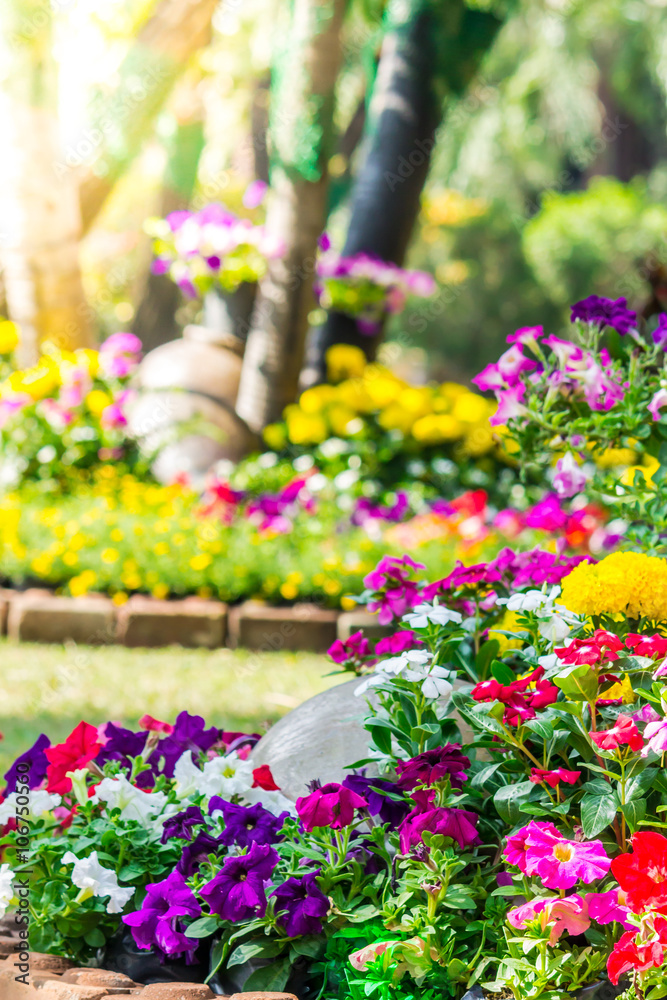 Flowers in the garden./ Landscaped flower garden with lots of colorful blooms with sun flare.
