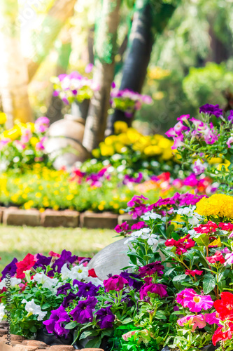 Flowers in the garden./ Landscaped flower garden with lots of colorful blooms with sun flare.
