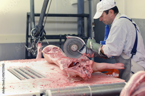 Processing of pig carcasses in a slaughterhouse photo