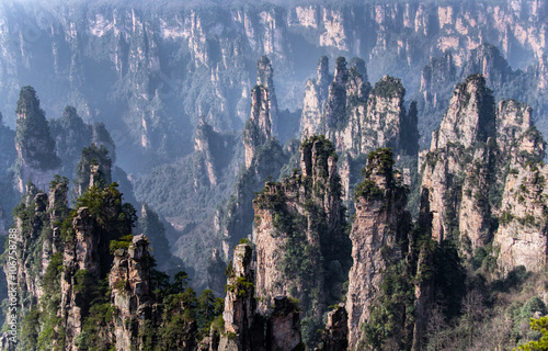 Zhangjiajie National Forest Park  Hunan  China