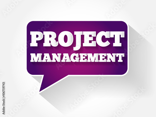 Project Management text message bubble, flat business concept background