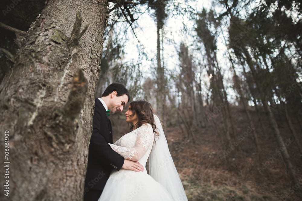 Wedding couple posing near pine forest. Newlyweds in love Wedding couple posing near pine forest. Newlyweds in love