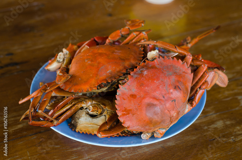 Hot Steamed Crabs