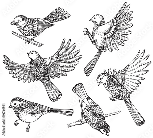 Ste of hand drawn ornate birds. photo