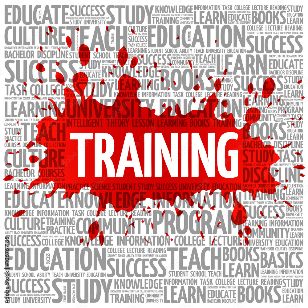 Fototapeta premium TRAINING word cloud, education concept