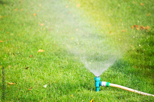 Water sprinkler spraying water on grass