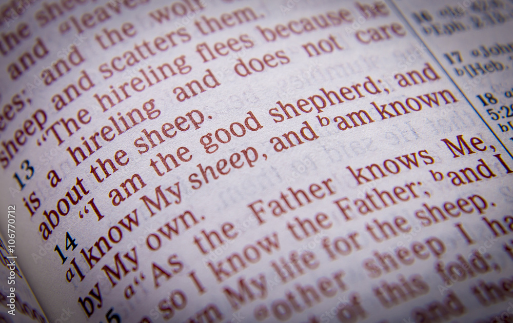 Fototapeta premium Bible text - I am the good shepherd - John 10:14