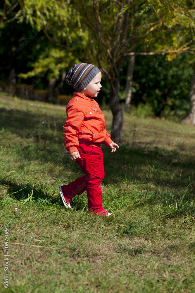 The two-year boy walks in the park The two-year boy walks in the park