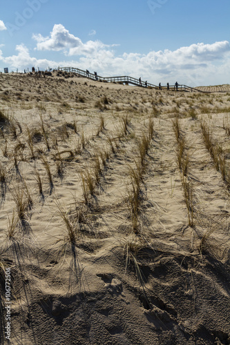 South Holland, the Netherlands - March 27, 2016: coastal defence sand dunes near The Hague. photo