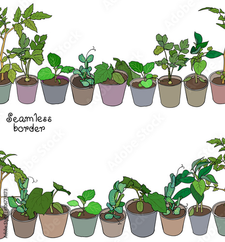 Seamless border with various seedlings and potted plants. Vector design, seamless when joined together.