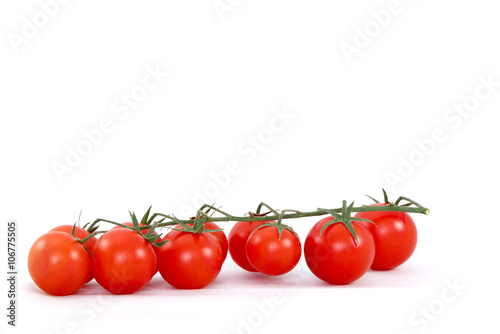 Cherry Tomatoes on Branch